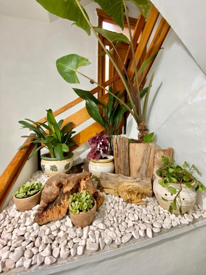 A Michelena De Pedra Apartment ปอนเตเบดรา ภายนอก รูปภาพ